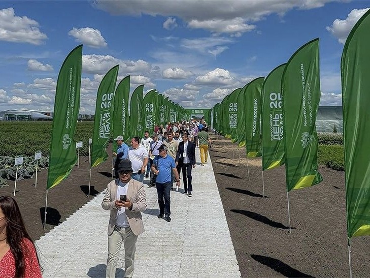 Итоги Всероссийского дня поля