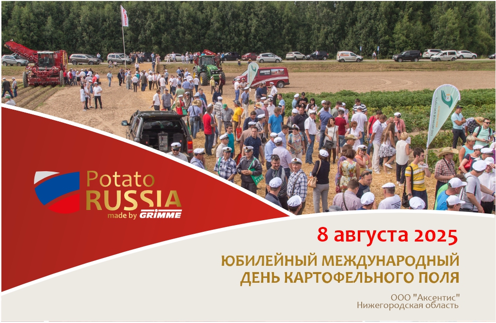 Potato Russia-2025