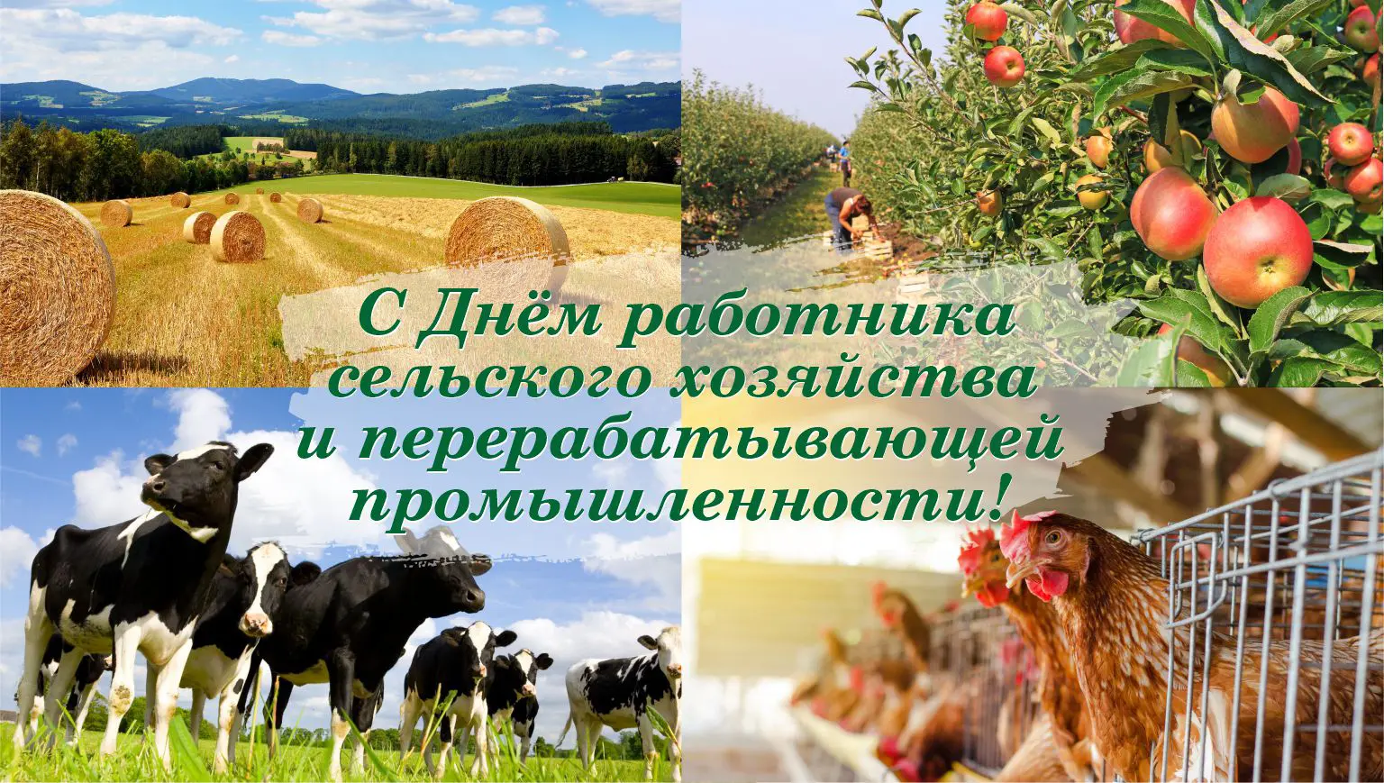 Примите искренние поздравления с профессиональным праздником!